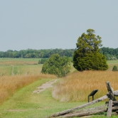 Battlefield View