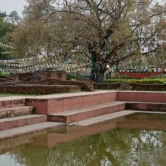 Lumbini 