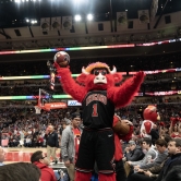 Benny the Bull throwing a bail into the stands